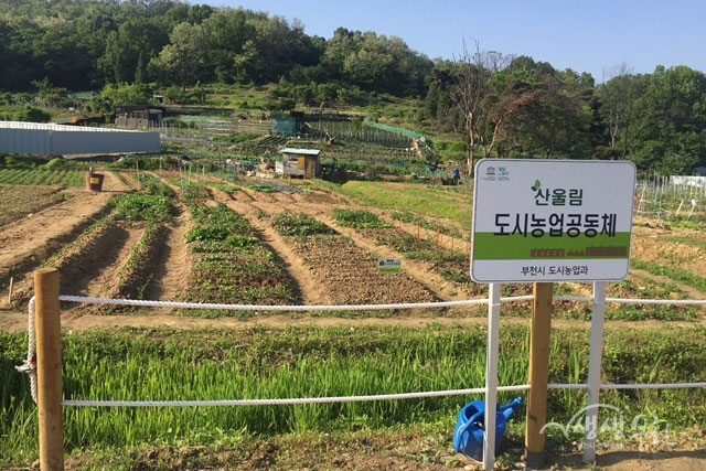 ������ �� ���ü�衯 ��õ�� �ùγ��� ����