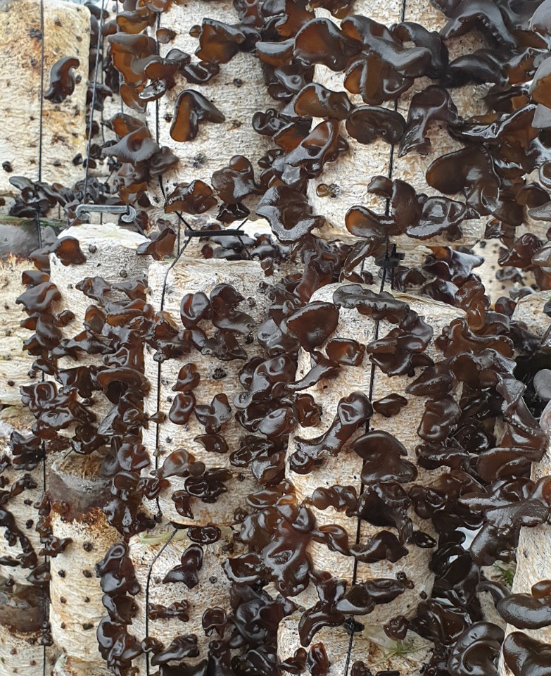 ���̹����� ó�� Ű����� �е鿡�� 