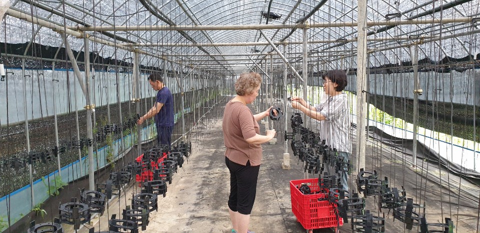 ���� �԰Ÿ� �����̹������� ����ϴ� ���ѳ�ε�