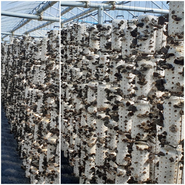 ���� �������翡 �ٳ�Ծ��