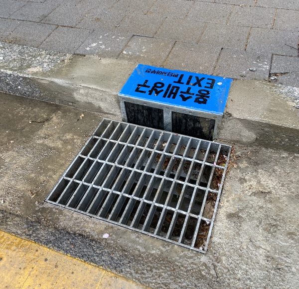 �ߵ�, ����ȣ�� ��� ȫ����� ��ġ ����