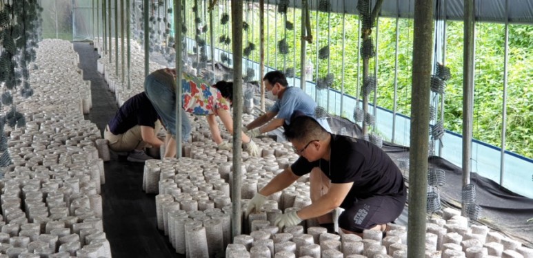 ���� ���̹��� ��縦 �����մϴ�