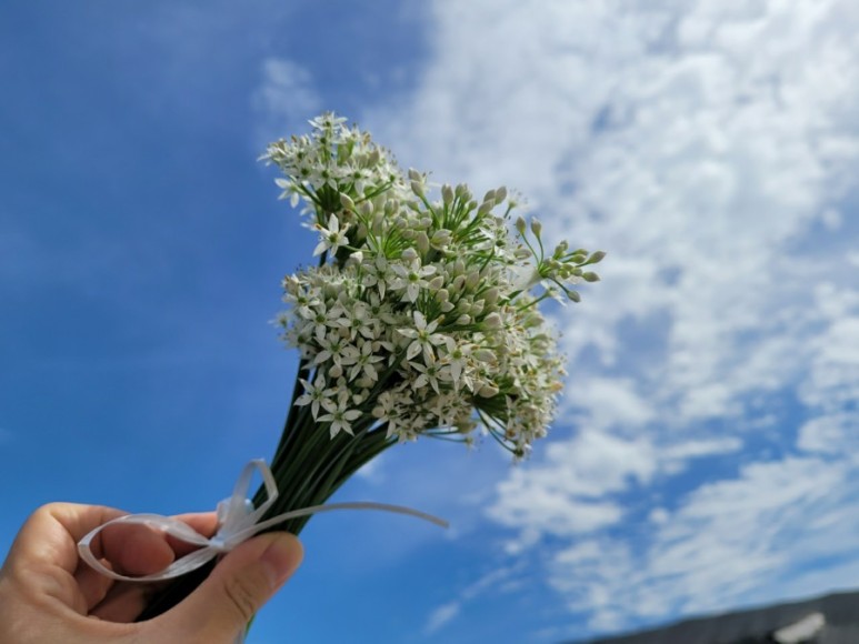 ���߲��� Ȱ¦