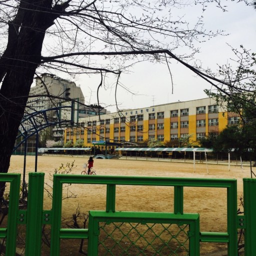 Ȳ���� ���ǿ�, ��õ �۳��� ���İǹ� ��Ȳ û�� �� ���� ����  