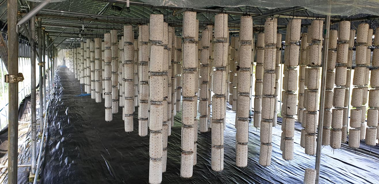 [���ѳ��] ��ٷ���, ���Ѻ���, õõ��, ��������...