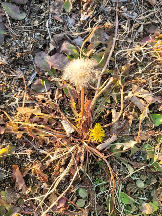 [���򼭽�] ���� ���ָ� ���Ͽ�