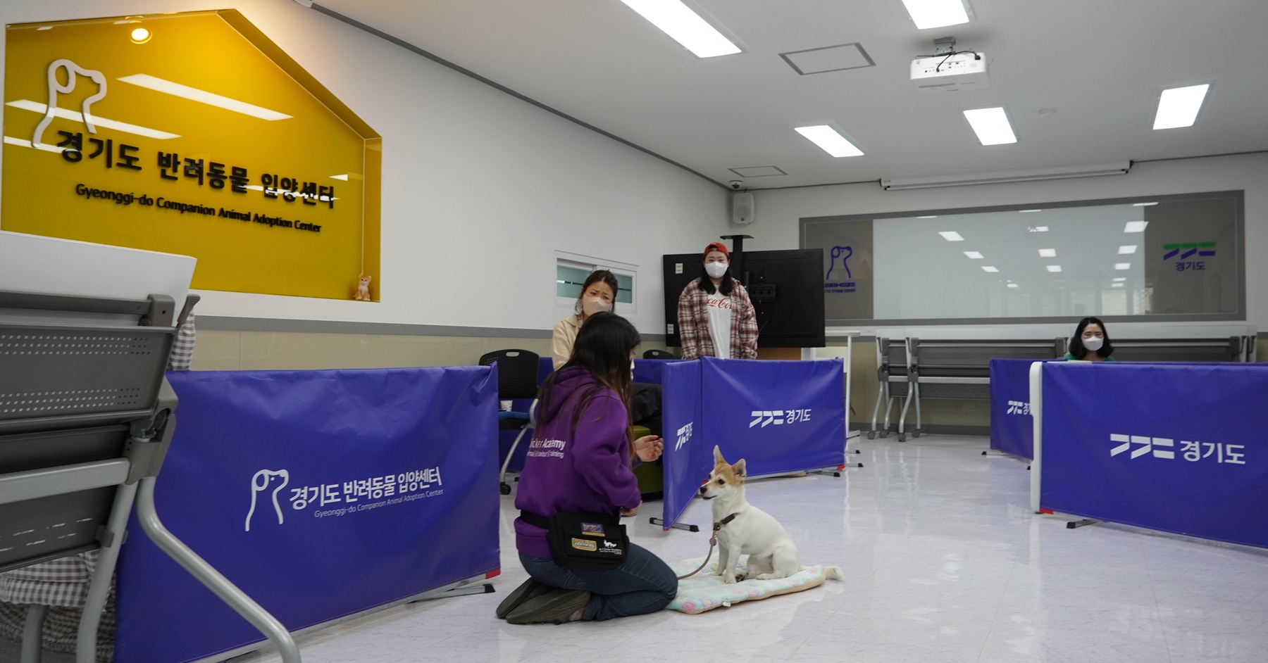 ���ݷ��ߡ���� ��� �ູ�� ����, �������� �����䡱 �ݷ��� ������ȭ ���� ����