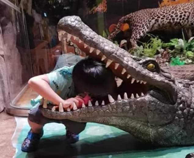 [��ȿ��] �Ǿ� �ư����� �� ������