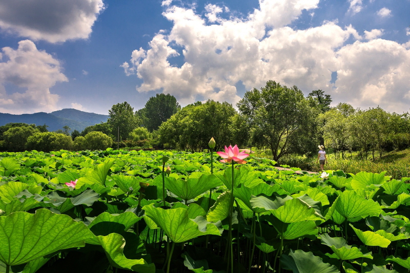 ��, ��ȭ���굵 ���� �ɵ� ���� ��⿾�� �� ���ɱ� 12������ ����