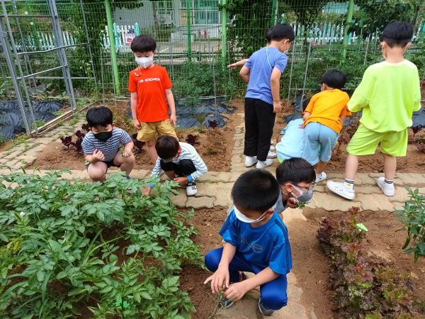 ��õ���ʵ��б�, �б� �Թ翡�� ���, ������ �����