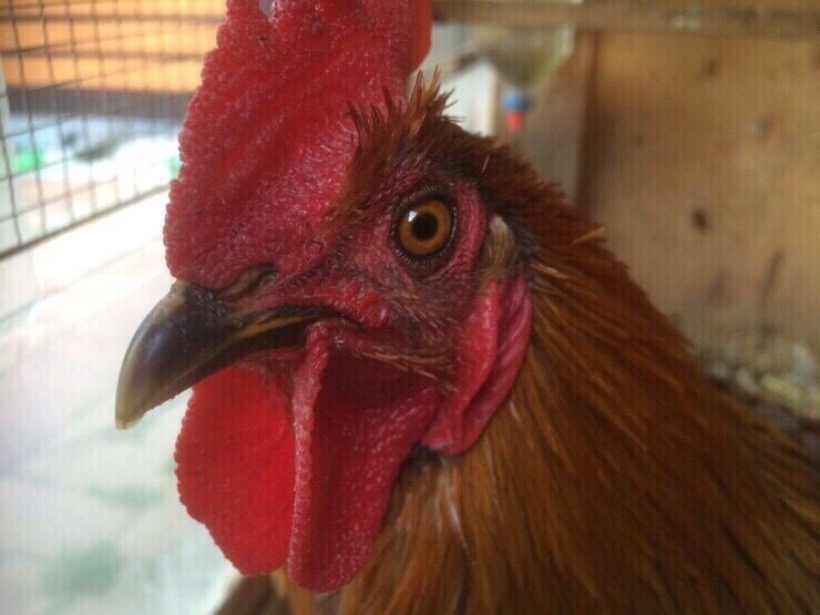 [����] ��ģ���� ���...