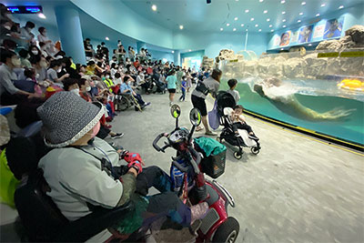 ���ߵ����ջ�ȸ������, 