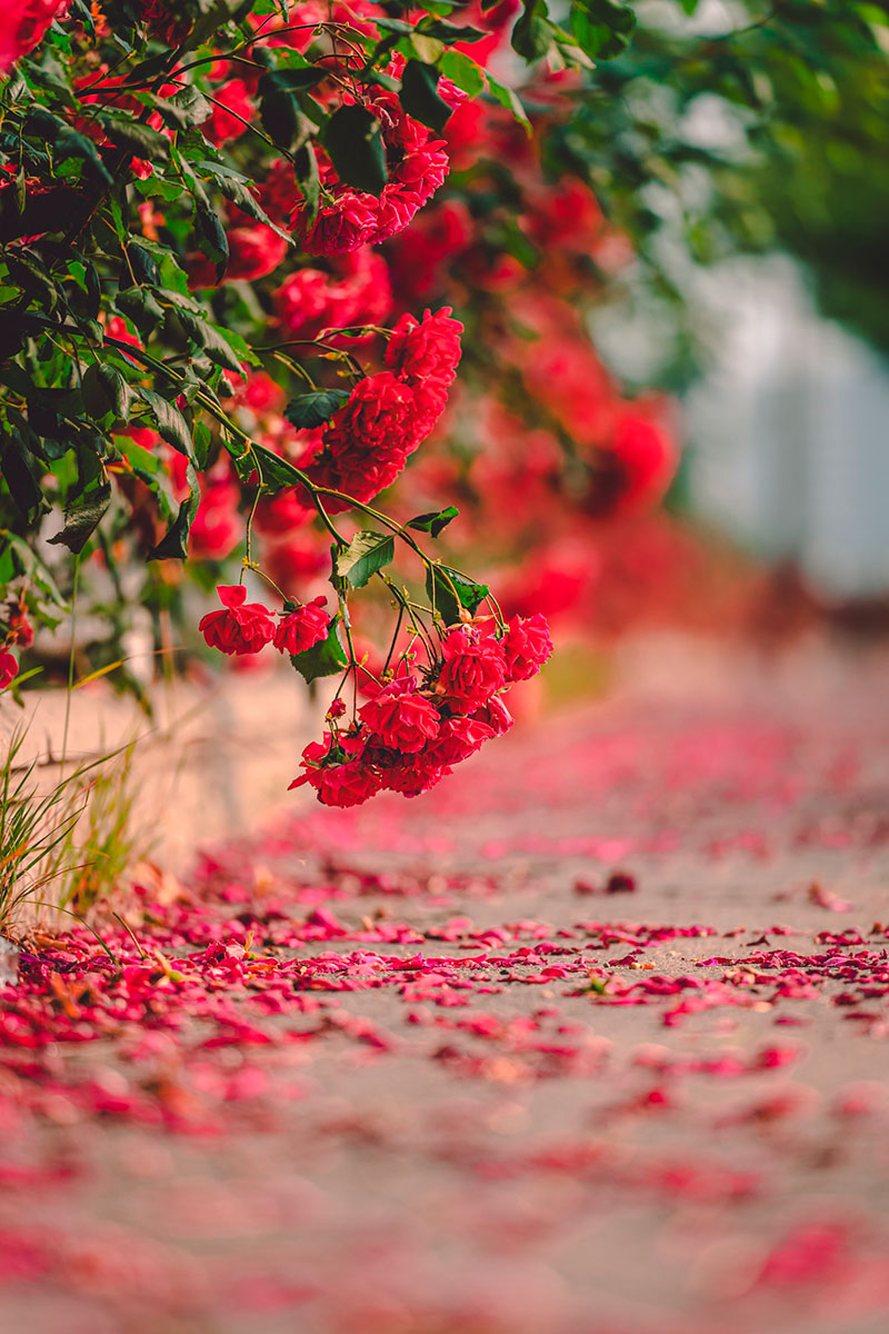 ���ɼ��� �ɻ����� �����ϽǰԿ�~