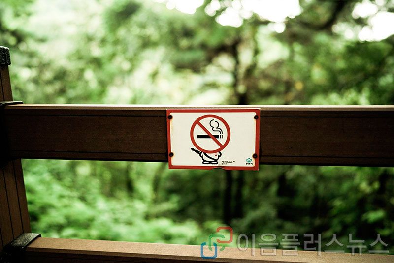 �츮 99������ �ݿ��ؿ� ^^