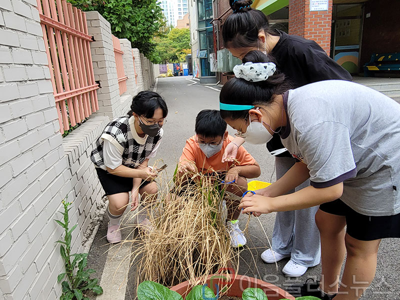 ��õ ������ ȯ�浿�Ƹ�, ������εǾ� ��Ȯ�� ����� ������!