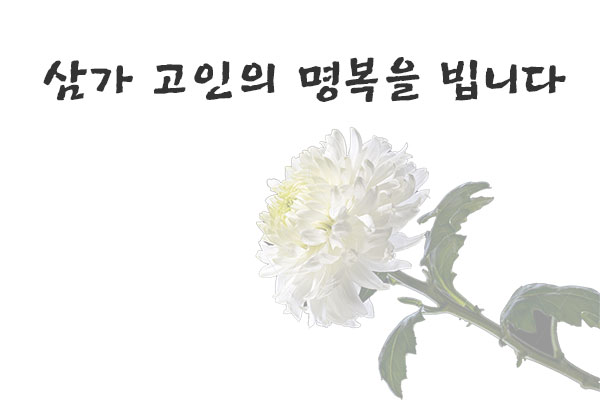 [�ı�ҽ�] �ڴ���(����) ���� ��ģ(������ ��) ����