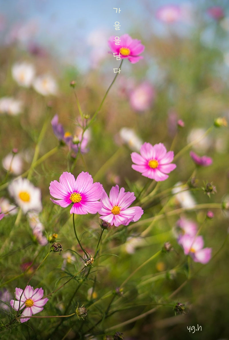 �ϻ���� ������ ���