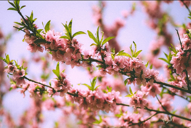 �����ѹ���