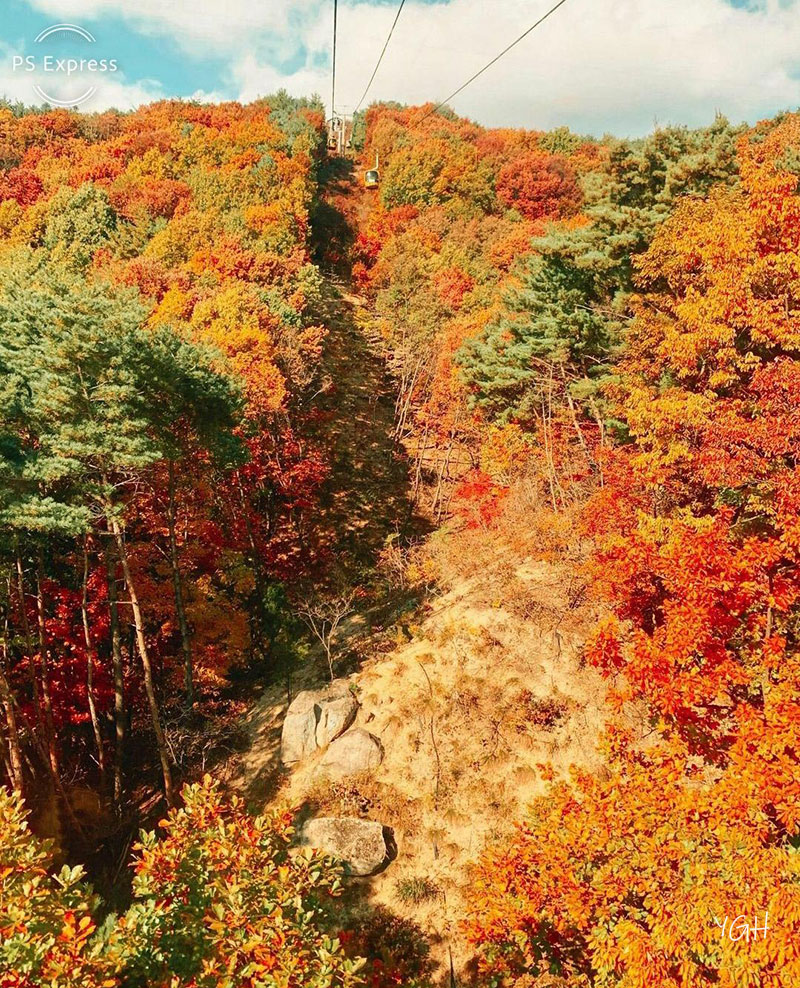 ����ǳ��