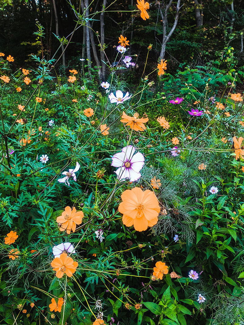 ���ֻ꿡��..