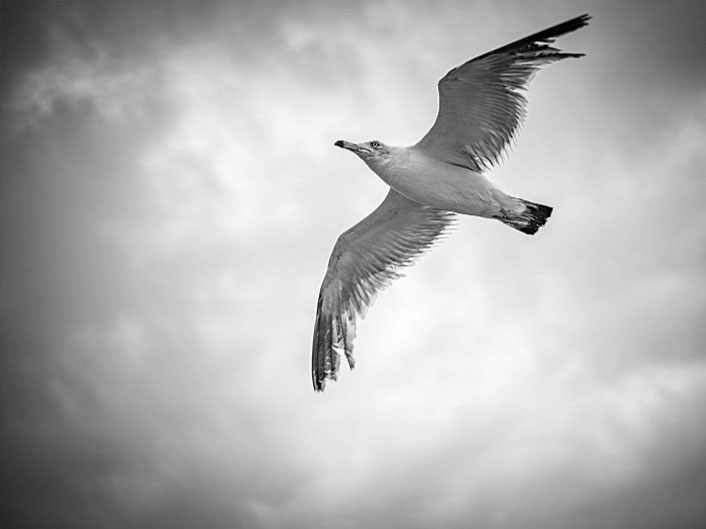 �ٰ�����  �Ƹ��ٿ� (1)