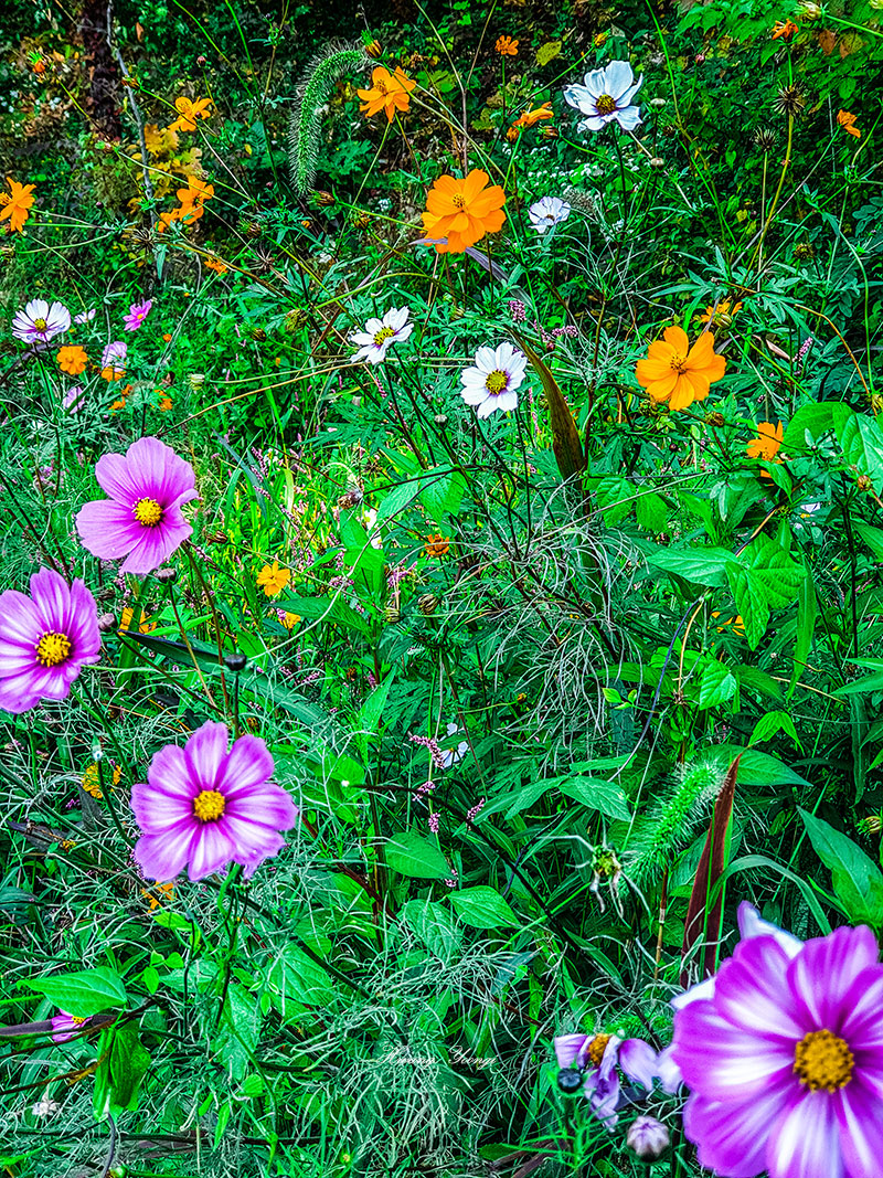 ���ֻ��� ����..