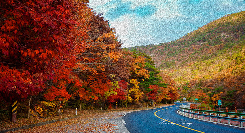 ������ ���ڶ�