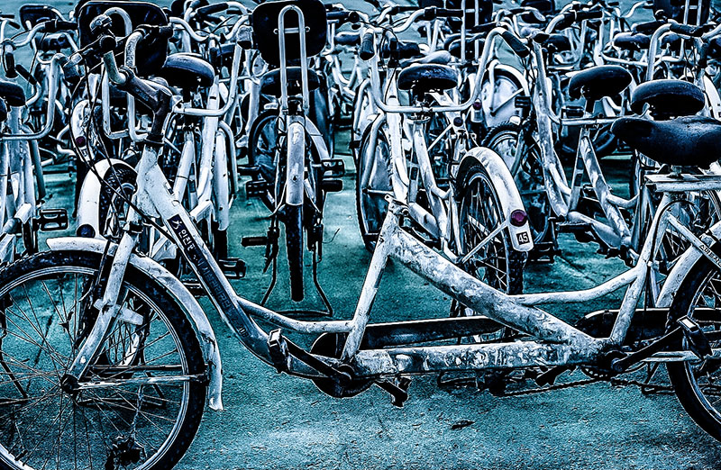 �������͵�