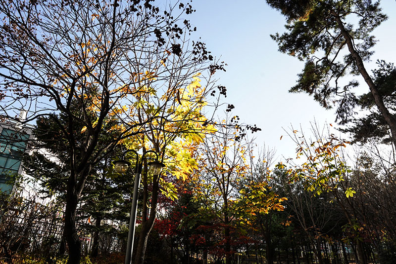 �츮������ ������ ����