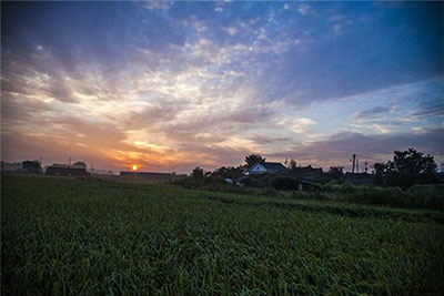 [���帶�� ���� �� 5] ���� ���� ���� �ذ� ��½...