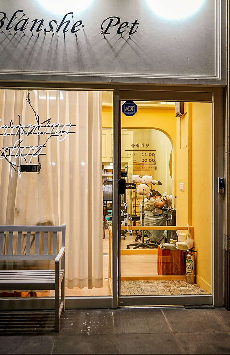 ���� �ѹ���