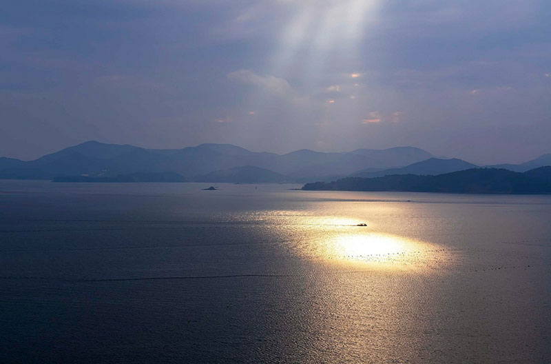 �ϴ��� ���� ���� ��