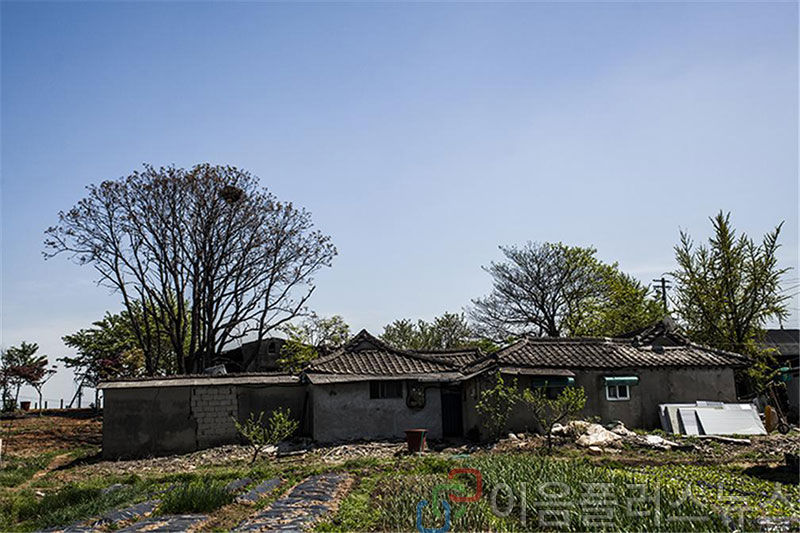 [���帶�� ���� �� 7] ���� ���� ��� ���� �� ���� ��޳���  ���� ���縦 ������ ��