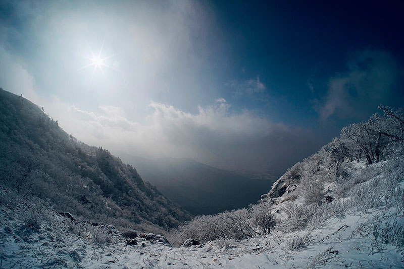 1��1�� ������ ǳ��