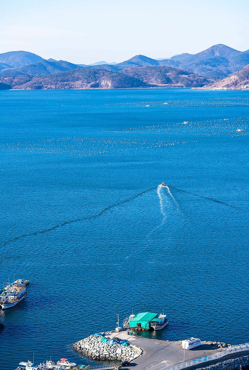 �����ٴ��� ��ٰ� ��� ǳ��