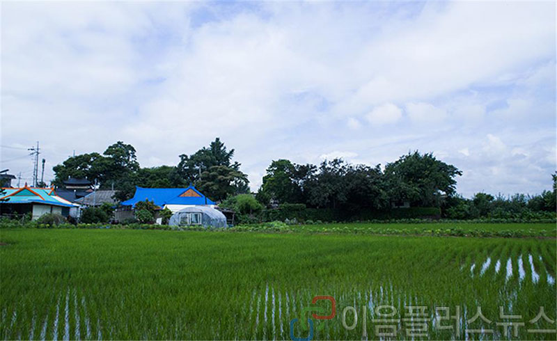 [���帶�� ���� �� 8] ����(����)�� ���Ͳ��� ������