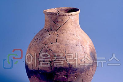 [������ ���� �� 9] ȣ������ �԰Ÿ� ������