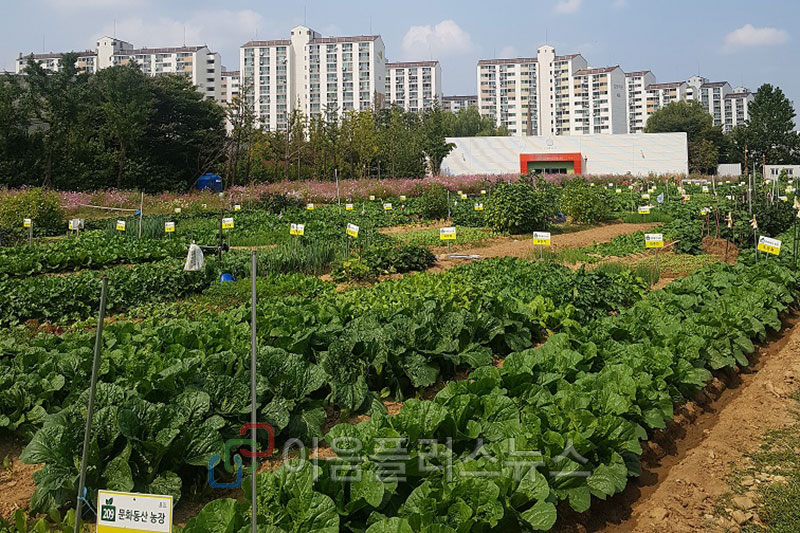 ��õ��, ���� �� ���ü���� ���� �ù� ����