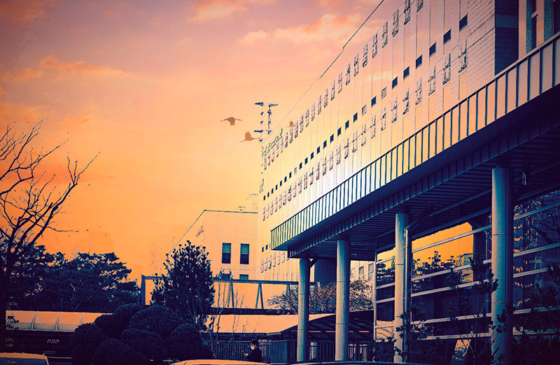 �󵿰Ÿ�ǳ��