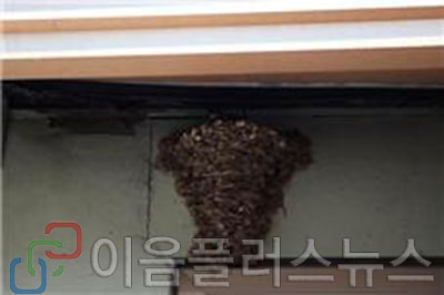 [���帶�� ���� �� 9] ���� ������ ���� ����!