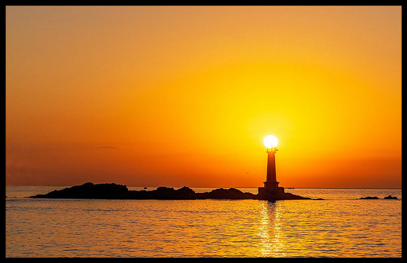 �����ٴ�����