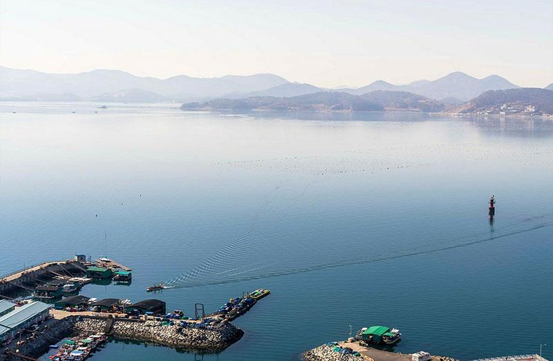 �����չٴ�