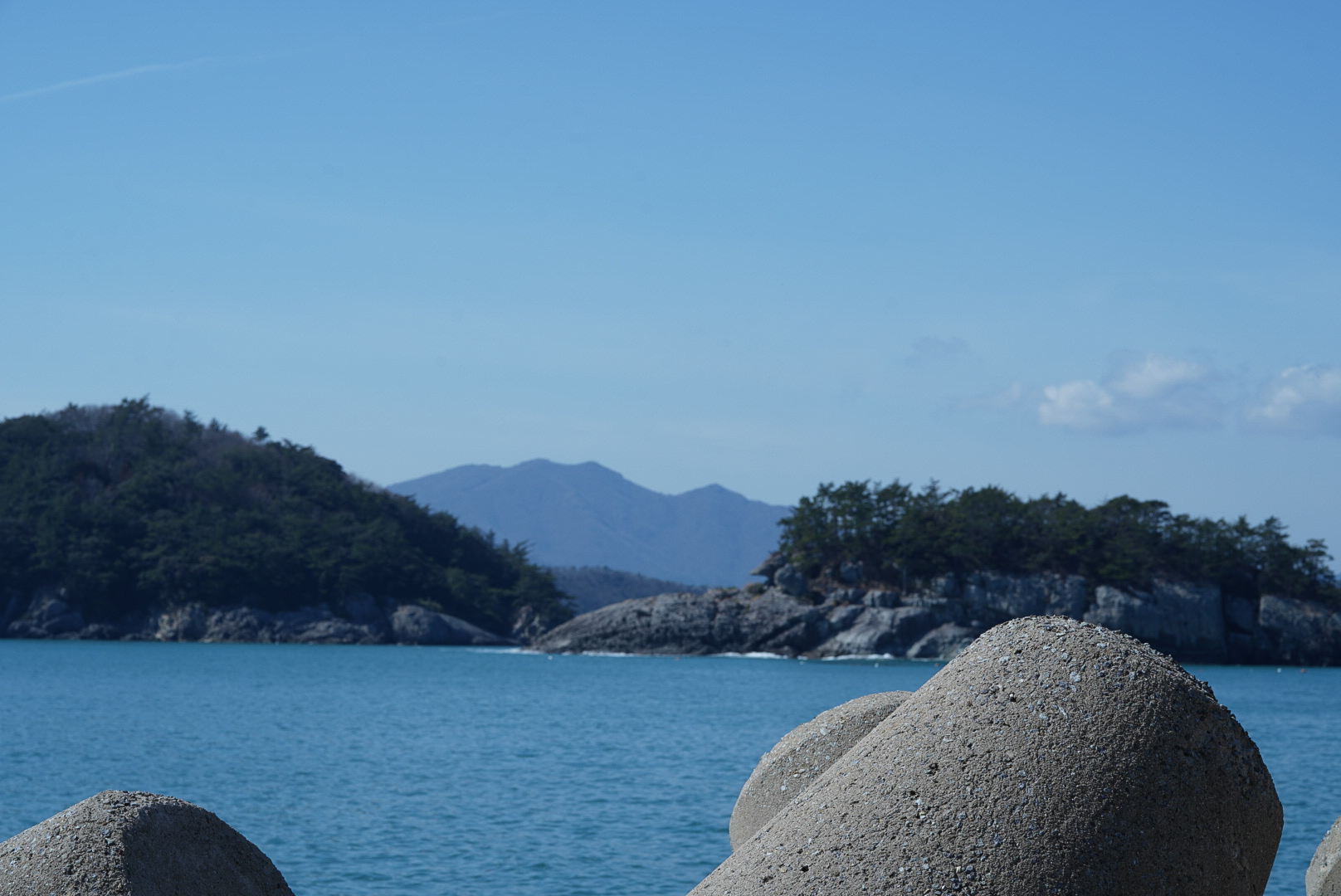 ���� ������ �ص��̸���