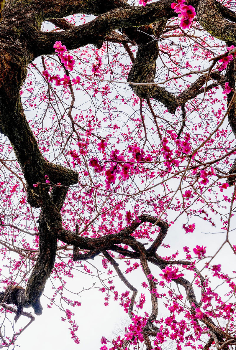 ȭ����ȫ��ȭ