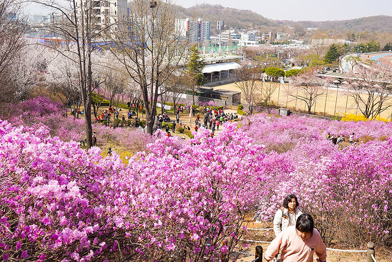 ���̻� ���޷�����