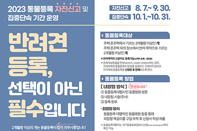 �ݷ�����, ���� ��� �ϼ���