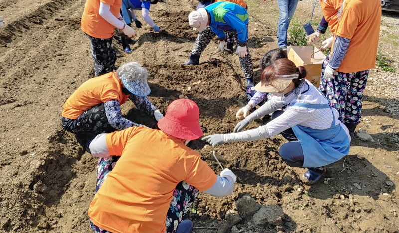 �һ�ġ�žȽɼ���, ġ�ž�� ������ġ�����塯 ����